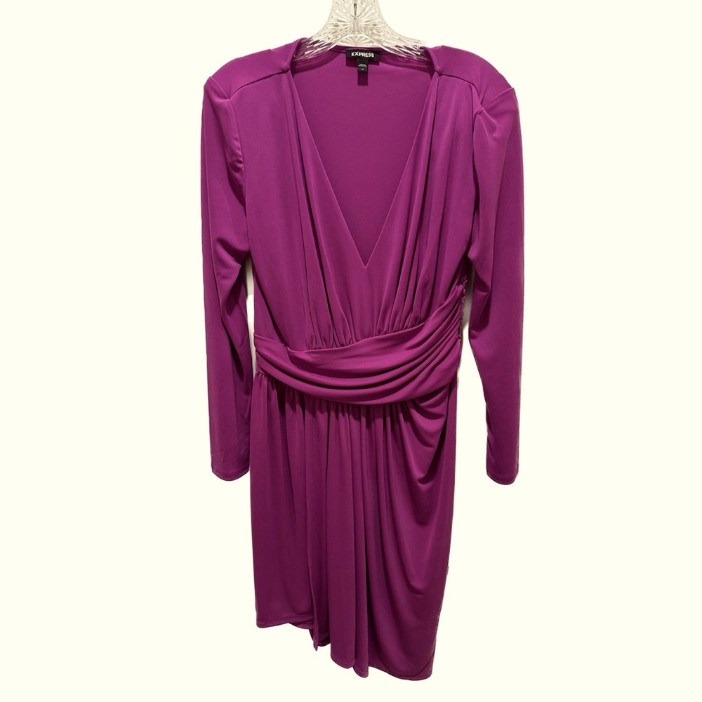 Express Magenta Dress